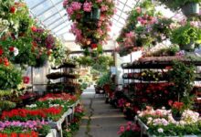 the benefits of plant nurseries webfreen.com